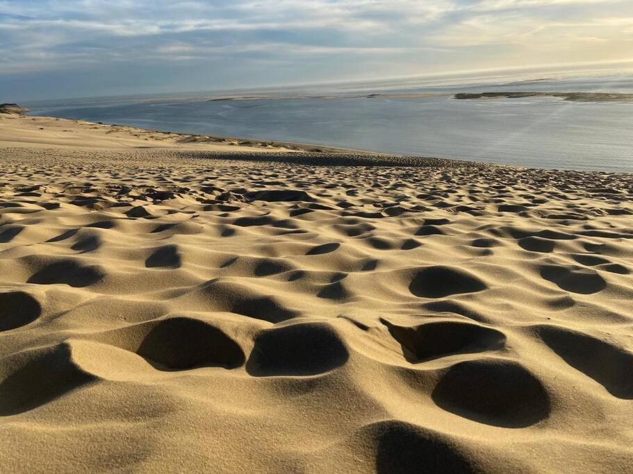 Villa Arcachon 12 Pers Avec Piscine Chauffee 1 Mai Au 30 Sept Екстериор снимка